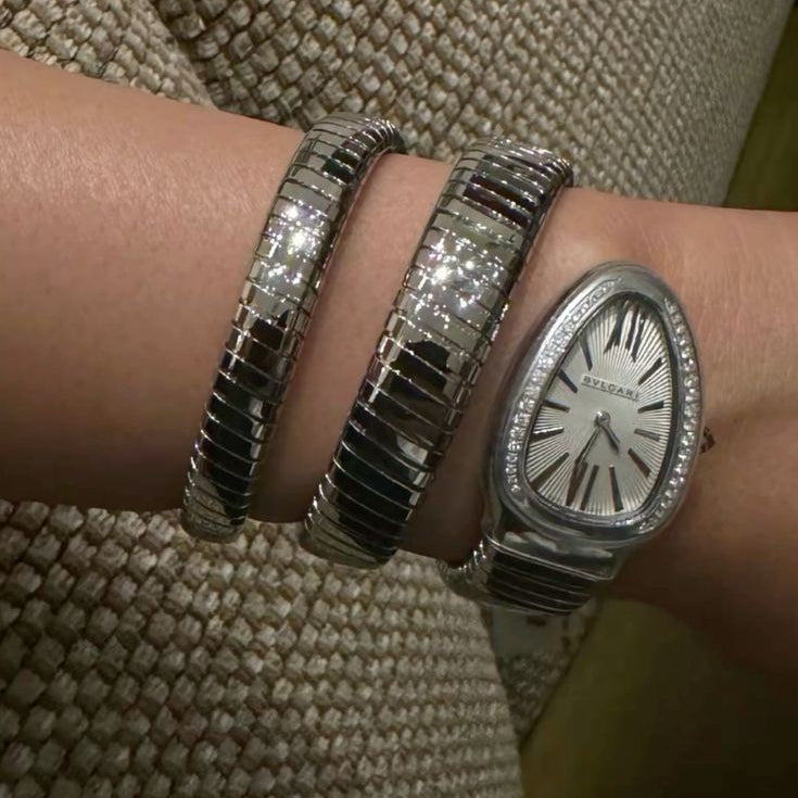 Bvlgari Serpenti Silver (boîtier simple)